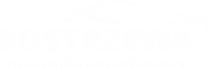 Logo mechanika - białe